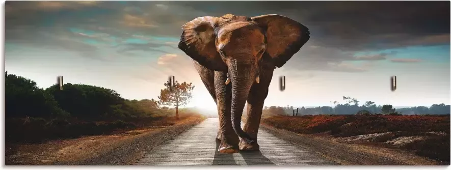 Artland Kapstok Een olifant loopt op de weg - Foto 3