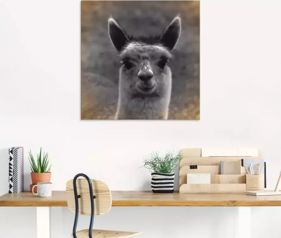 Artland Print op glas Alpaca blik in verschillende maten - Foto 2