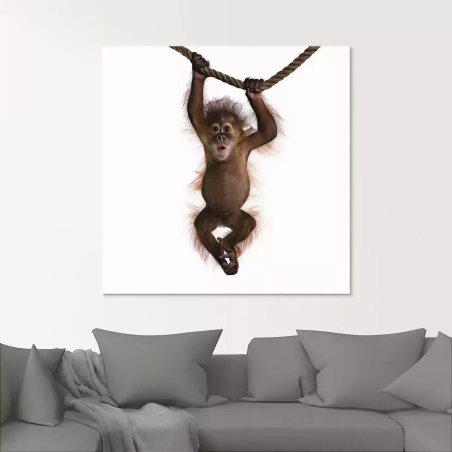 Artland Print op glas Baby Sumatra orang oetan hangt aan het touw - Foto 1