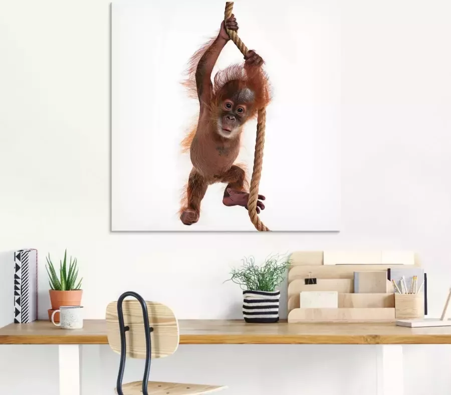 Artland Print op glas Baby Sumatra orang oetan hangt aan het touw - Foto 2