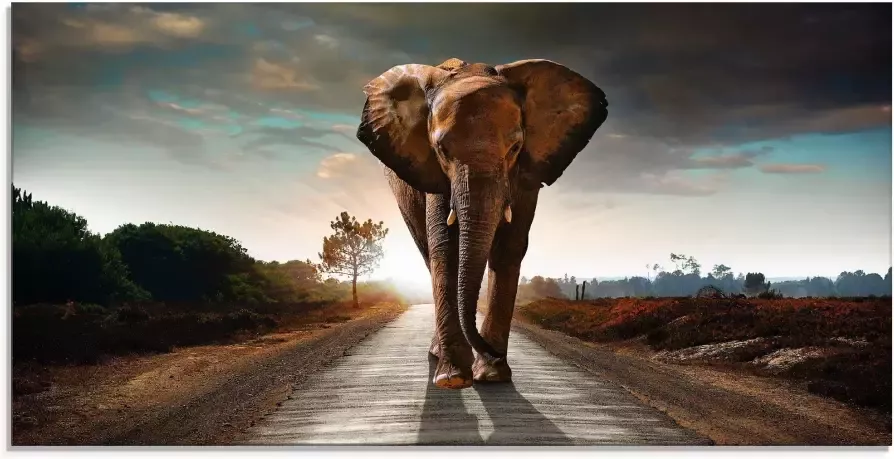 Artland Print op glas Een olifant loopt op de weg - Foto 1