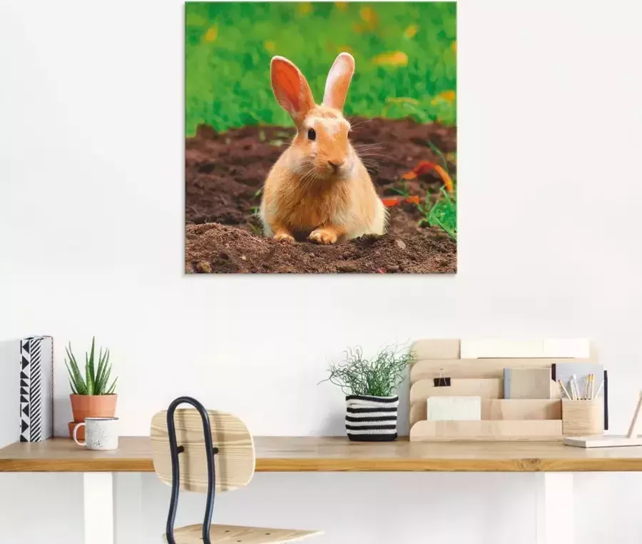 Artland Print op glas Gelukkig dwergkonijntje - Foto 5
