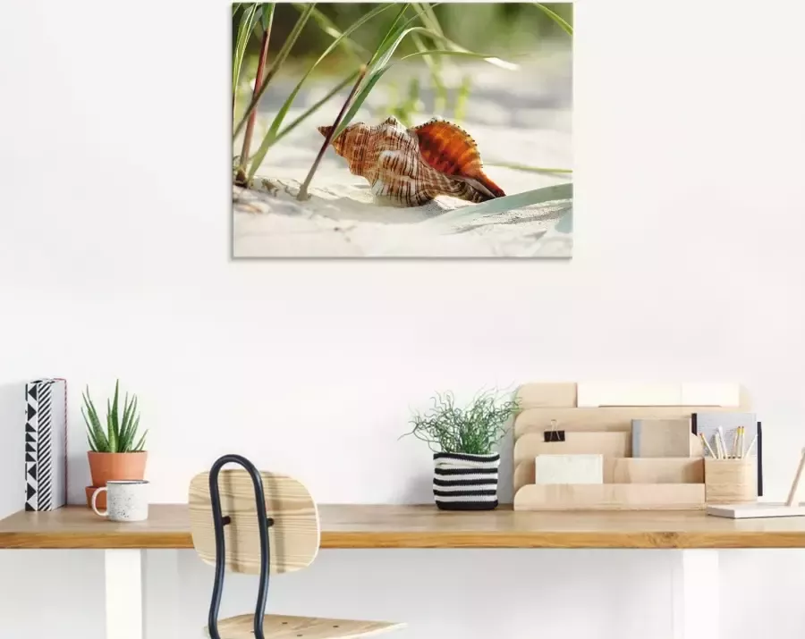 Artland Print op glas Grote schelp op het strand - Foto 5