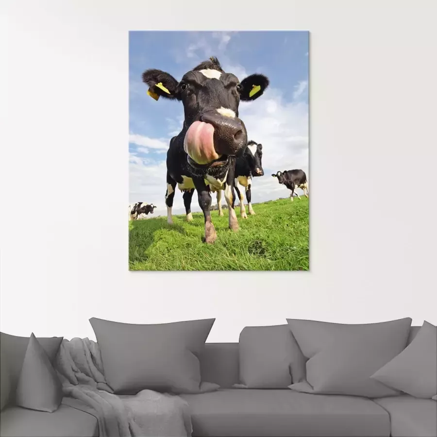 Artland Print op glas Holstein-koe met enorme tong - Foto 1