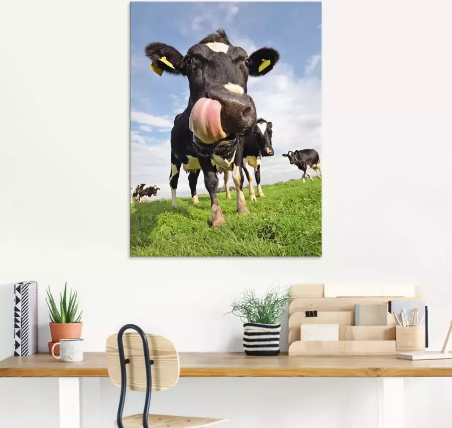 Artland Print op glas Holstein-koe met enorme tong - Foto 2