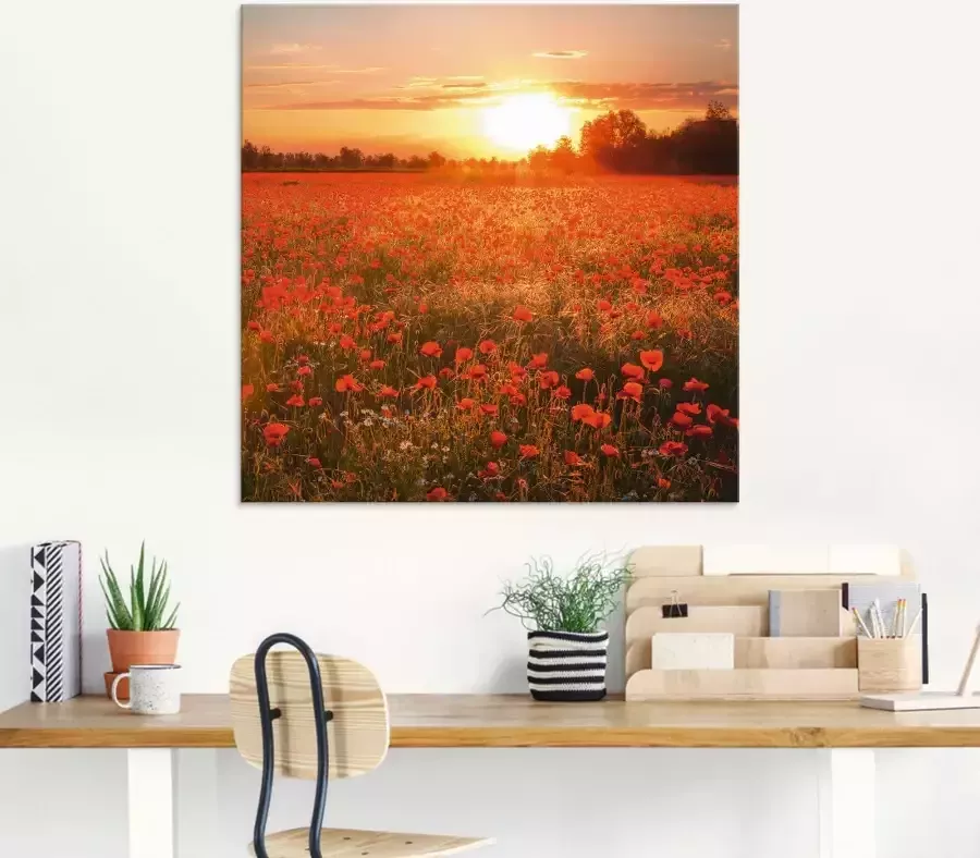 Artland Print op glas Klaprozenveld bij zonsondergang - Foto 4