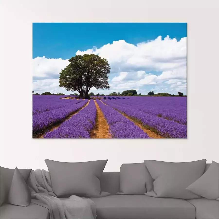 Artland Print op glas Mooi lavendelveld in de zomer - Foto 1