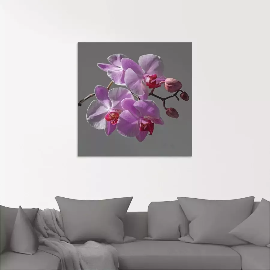 Artland Print op glas Orchideeën Droom in verschillende maten - Foto 1