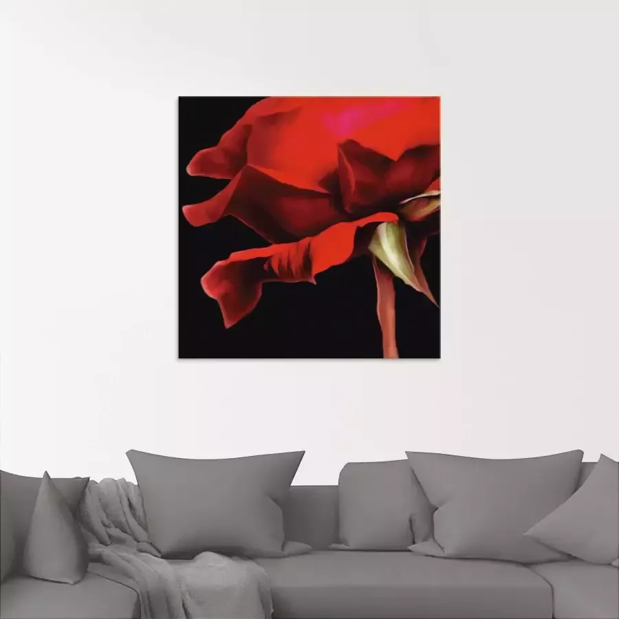 Artland Print op glas Rode roos in verschillende maten - Foto 1