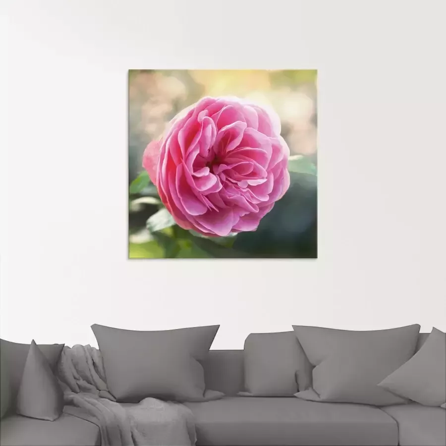 Artland Print op glas Roze roos in tegenlicht - Foto 1