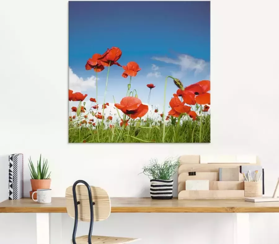 Artland Print op glas Veld met klaprozen onder de hemel - Foto 4