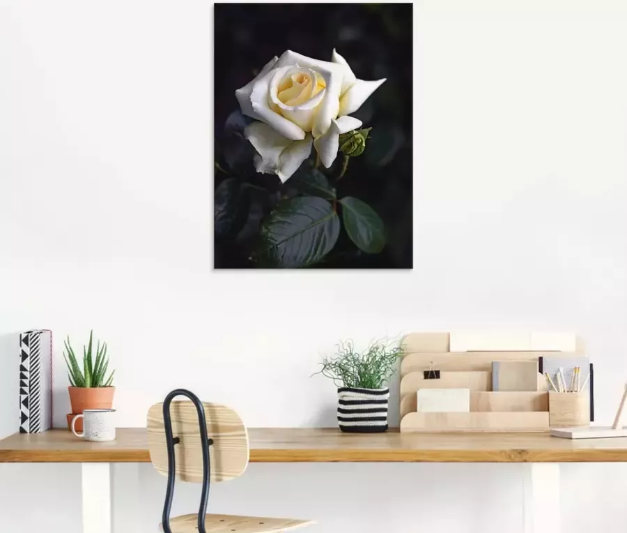Artland Print op glas Wit-gele roos in verschillende maten - Foto 2