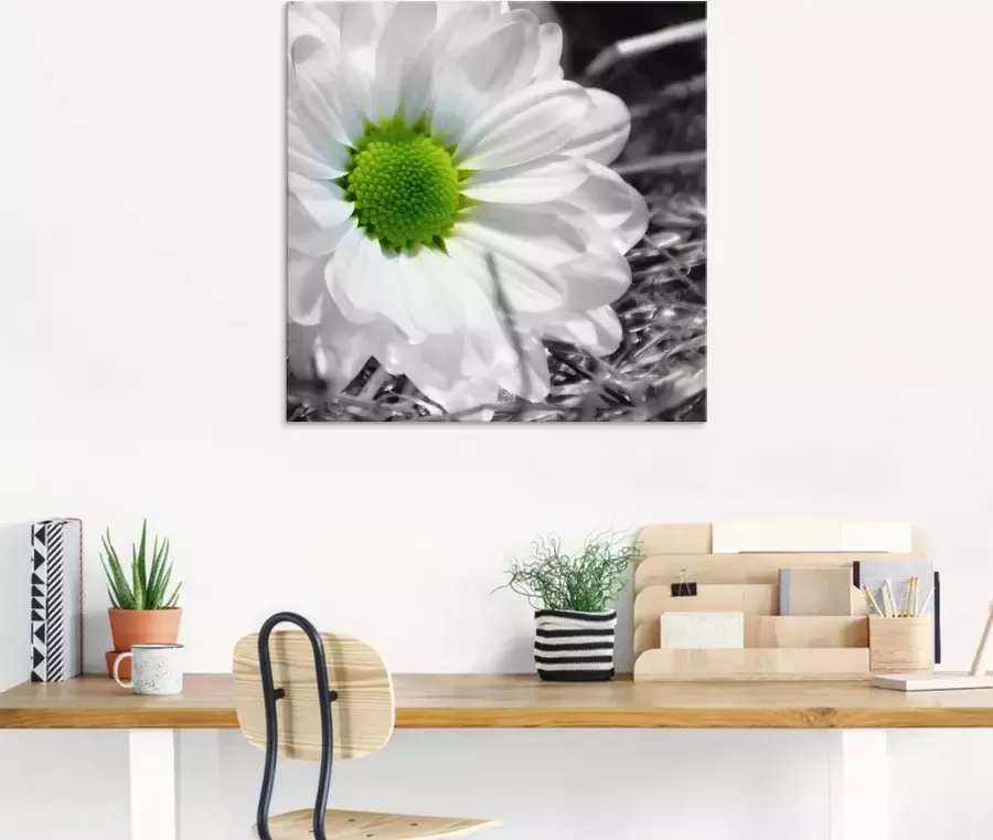 Artland Print op glas Witte bloem in verschillende maten - Foto 2