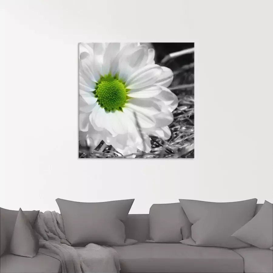 Artland Print op glas Witte bloem in verschillende maten - Foto 1