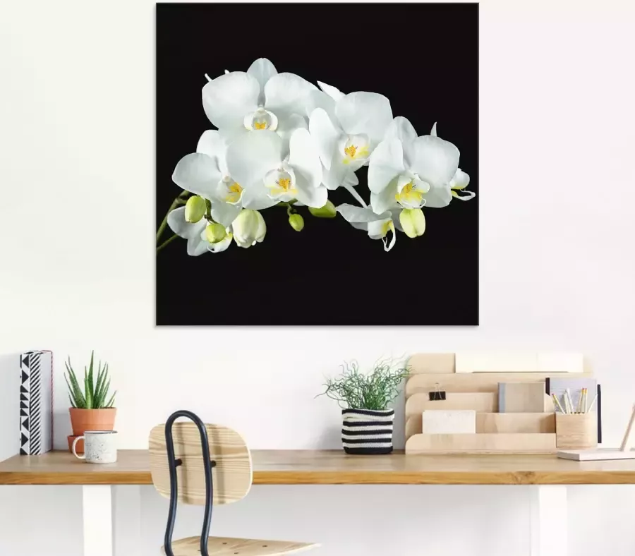 Artland Print op glas Witte orchidee op een zwarte achtergrond - Foto 4