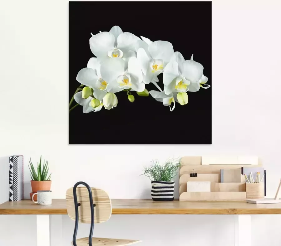Artland Print op glas Witte orchidee op een zwarte achtergrond - Foto 2
