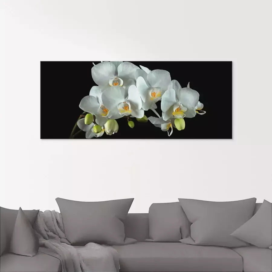 Artland Print op glas Witte orchidee op een zwarte achtergrond - Foto 1