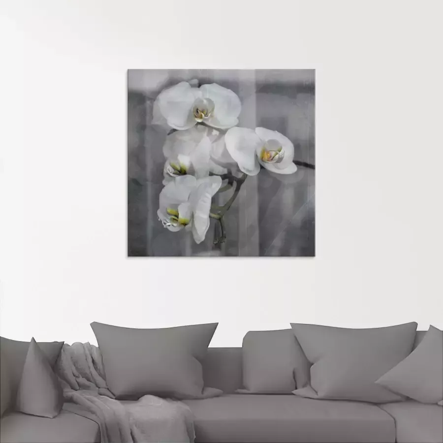Artland Print op glas Witte orchideeën white orchidee - Foto 1