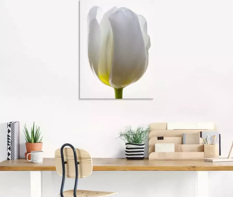 Artland Print op glas Witte tulp in verschillende maten - Foto 2