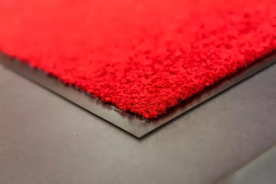 ASTRA Mat Proper Tex 618 Vuilvangmat ook als loper wasbaar geschikt voor binnen en buiten - Foto 2