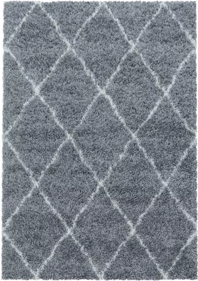Adana Carpets Berber vloerkleed Agadir Lines Grijs Creme 200x290cm - Foto 8
