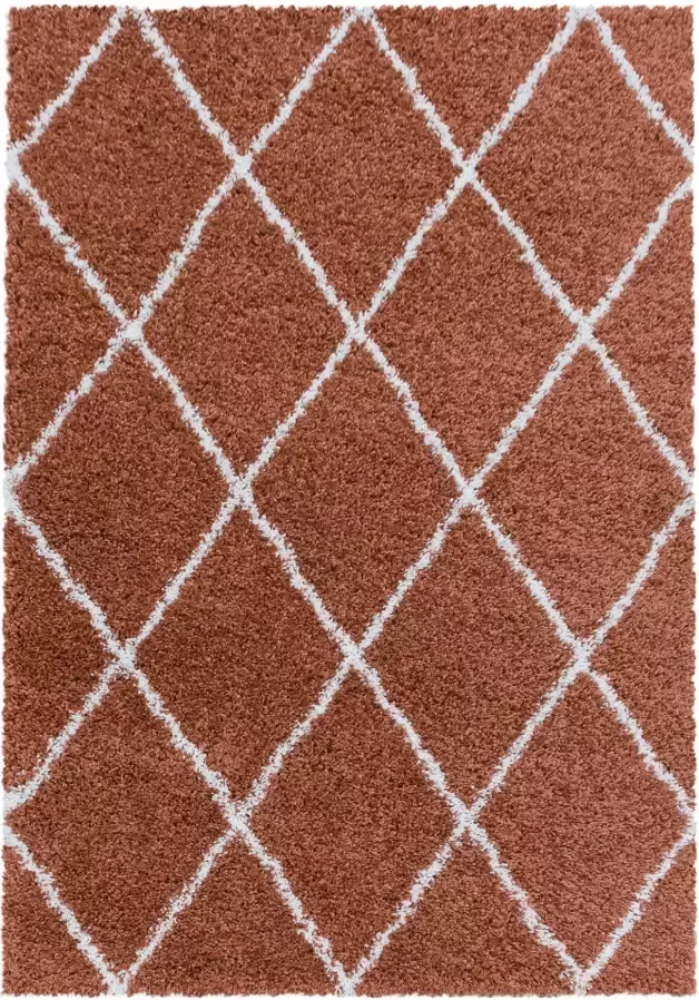 Adana Carpets Berber vloerkleed Agadir Lines Terra Creme 240x340cm - Foto 6
