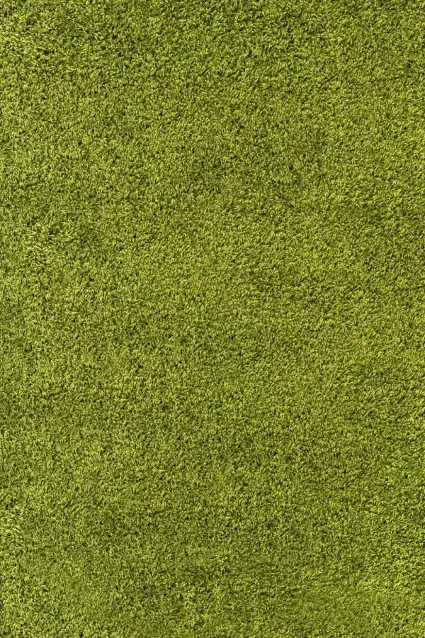 Adana Carpets Vloerkleed DreamShaggy Green (120x120)Cm - Foto 5