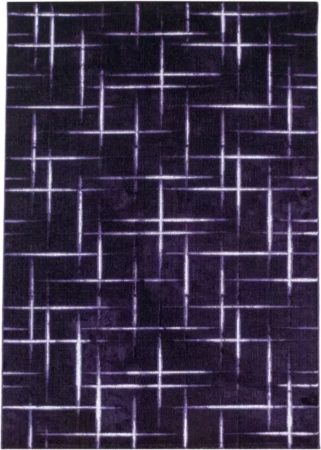Adana Carpets Modern vloerkleed Streaky Skretch Paars Wit 160x230cm - Foto 6