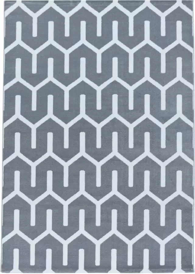Adana Carpets Modern vloerkleed Streaky Pattern Grijs Wit 140x200cm - Foto 6