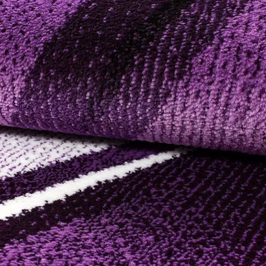 Adana Carpets Modern vloerkleed Jena Paars 9210 200x290cm - Foto 3