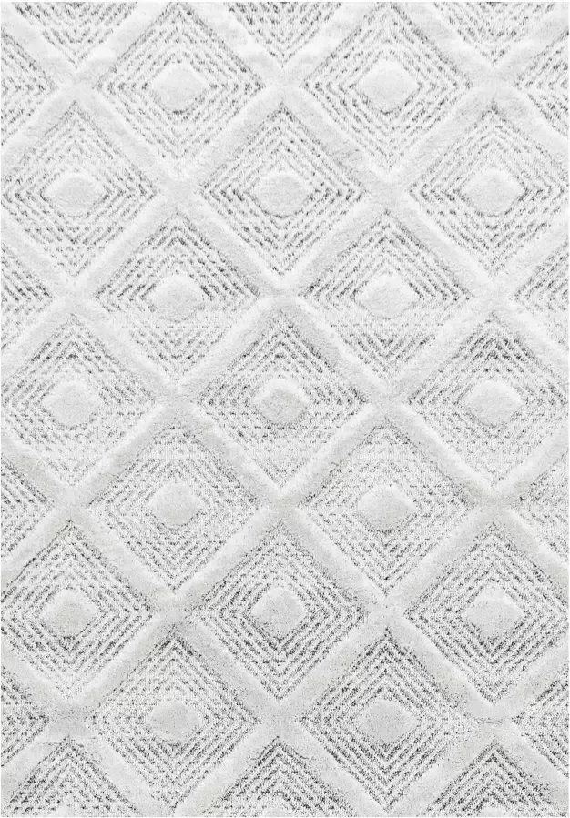 Adana Carpets Scandinavisch vloerkleed Pitea Ethno Creme Grijs 280x370cm - Foto 6