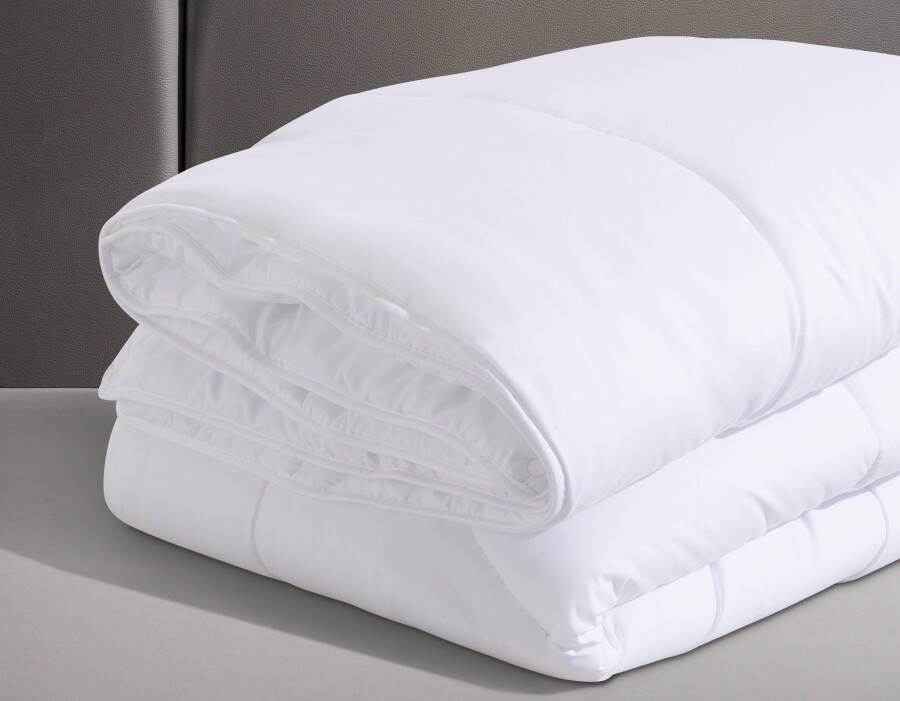 Beco Synthetisch dekbed Gregor dekbedden voor zomer en winter dekbed voor het hele jaar Dekbed 135 x 200 cm geschikt voor mensen met allergie (huisstofmijtallergie) Licht