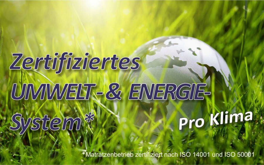 Beco Synthetisch dekbed Gregor dekbedden voor zomer en winter dekbed voor het hele jaar Dekbed 135 x 200 cm geschikt voor mensen met allergie (huisstofmijtallergie) Licht
