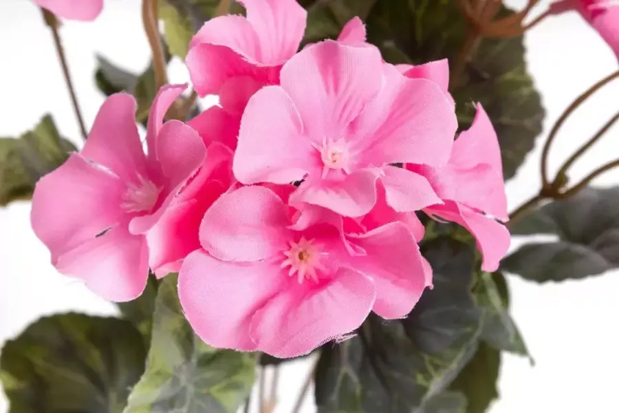 Botanic-Haus Kunstbloem Geraniums (1 stuk) - Foto 3