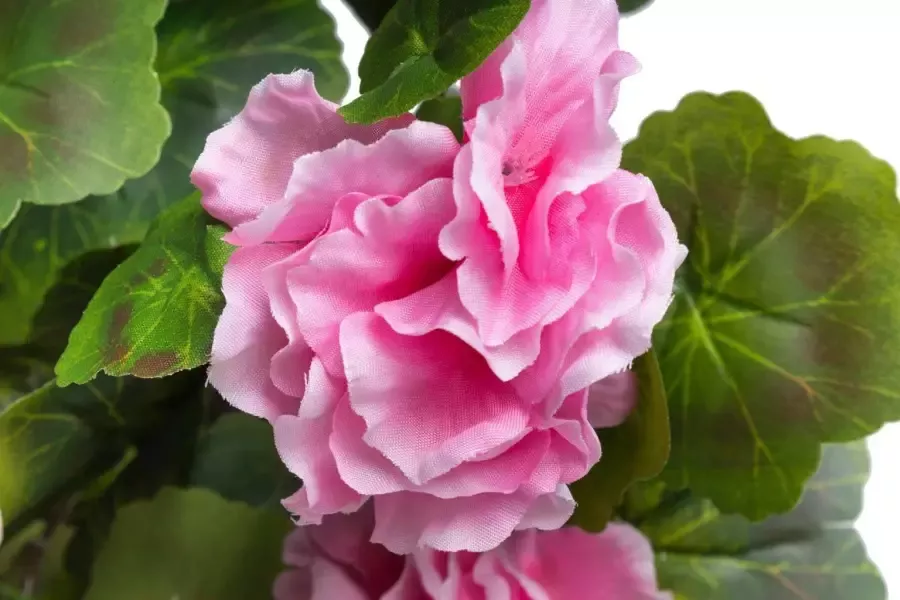 Botanic-Haus Kunstbloem Hanggeranium (1 stuk)