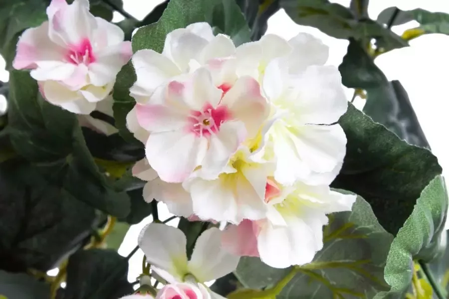 Botanic-Haus Kunstbloem Hanggeranium (1 stuk) - Foto 2