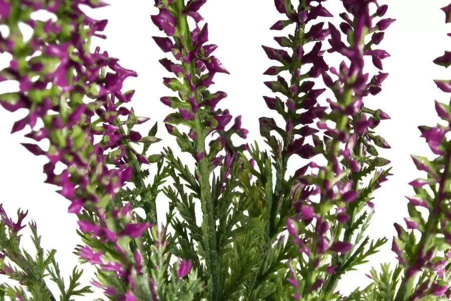 Botanic-Haus Kunstbloem Heide met 15 stelen (set 2 stuks) - Foto 3