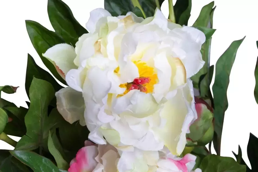 Botanic-Haus Kunstbloem Pioenroos (1 stuk)