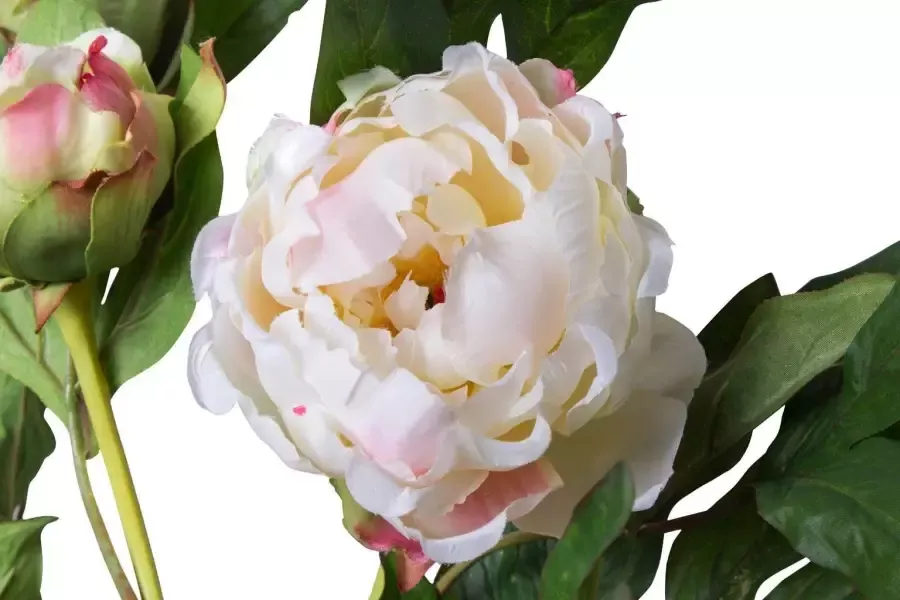 Botanic-Haus Kunstbloem Pioenroos (1 stuk) - Foto 2