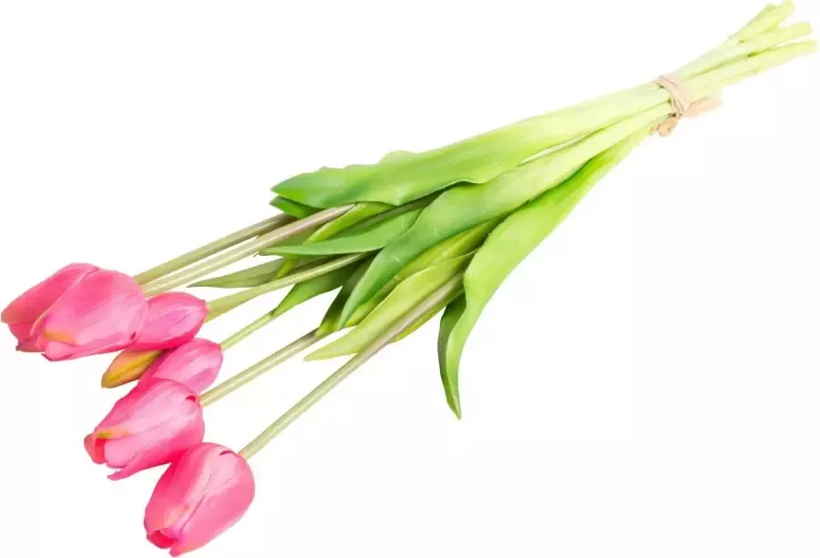 Nova Nature Classic tulip bundle Sally x7 beauty 47cm - Foto 2