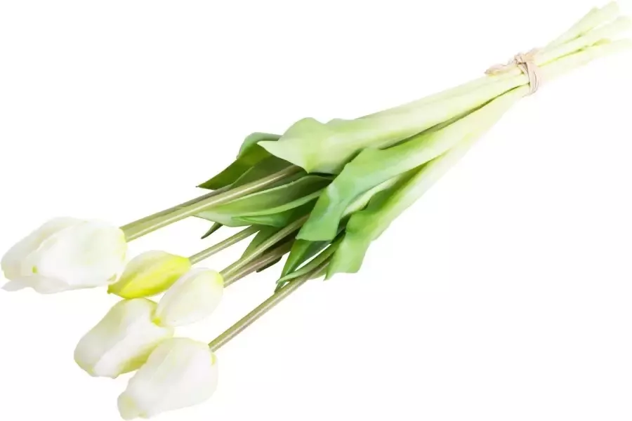 Nova Nature Classic tulip bundle Sally x7 cream 47cm