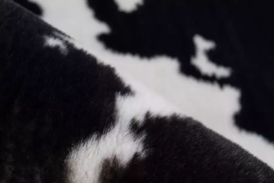 ARTE ESPINA Vloerkleed Rabbit Animal 500 Knusse hoogpolige tapijt handgetuft met katoen achterkant - Foto 4