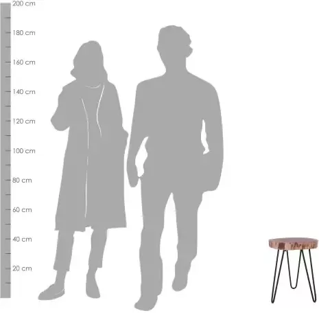 ByLIVING Bijzettafel Nasti van massief hout met schaaldeel - Foto 4