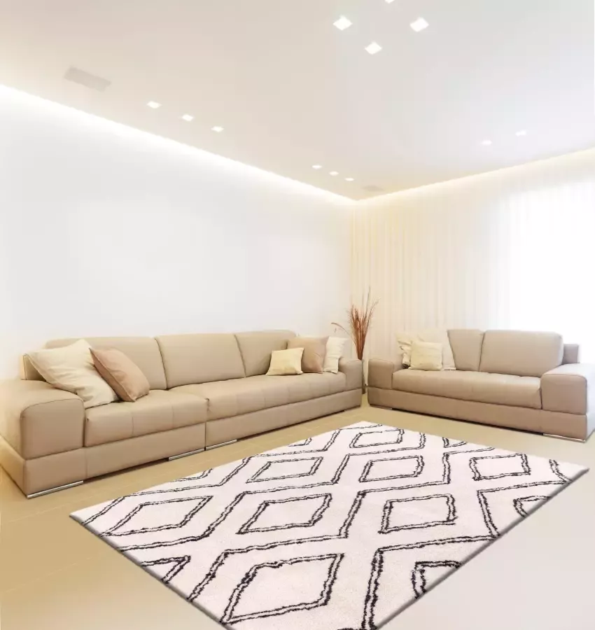 Me gusta Vloerkleed Orlando 225 Zachte hoogpolige tapijt subtiel ontworpen geschikt voor vloerverwarming - Foto 1