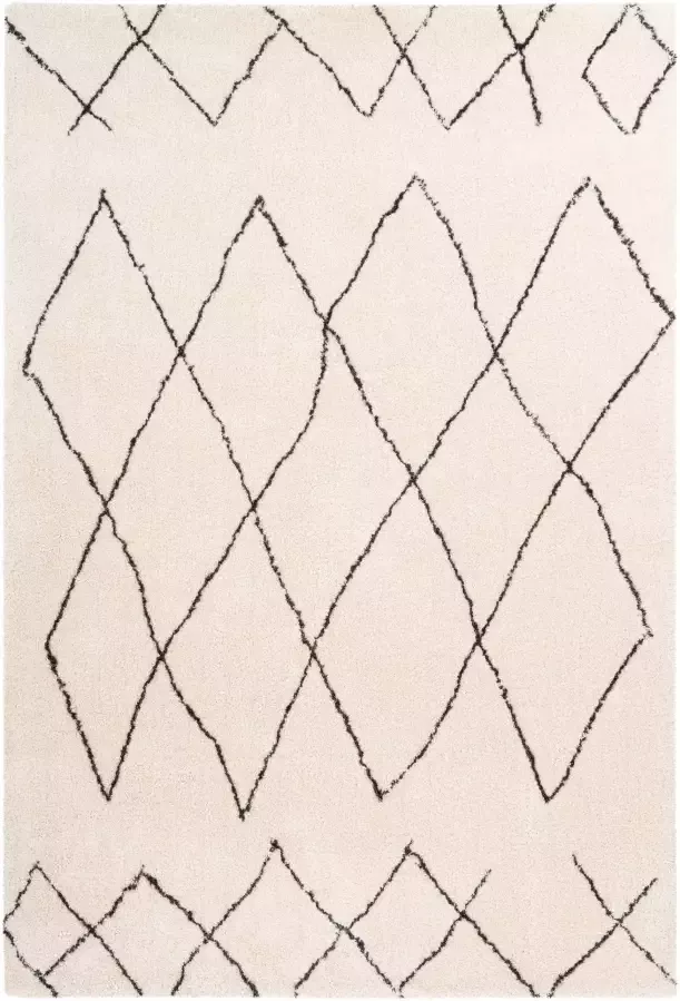 Calo-deluxe Hoogpolig vloerkleed Elvar-4000 bijzonder zacht door microvezel woonkamer - Foto 2