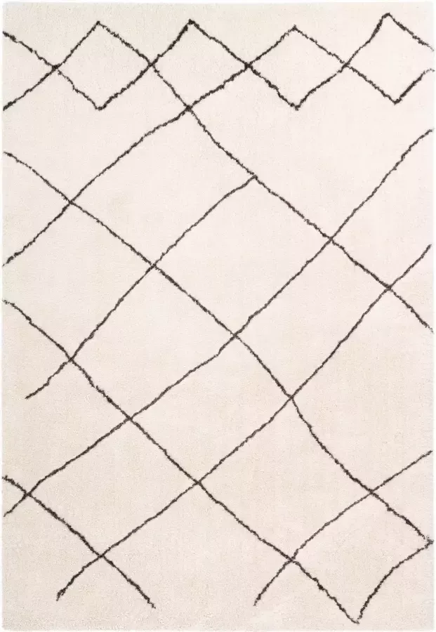 Calo-deluxe Hoogpolig vloerkleed Elvar-5000 bijzonder zacht door microvezel woonkamer - Foto 2