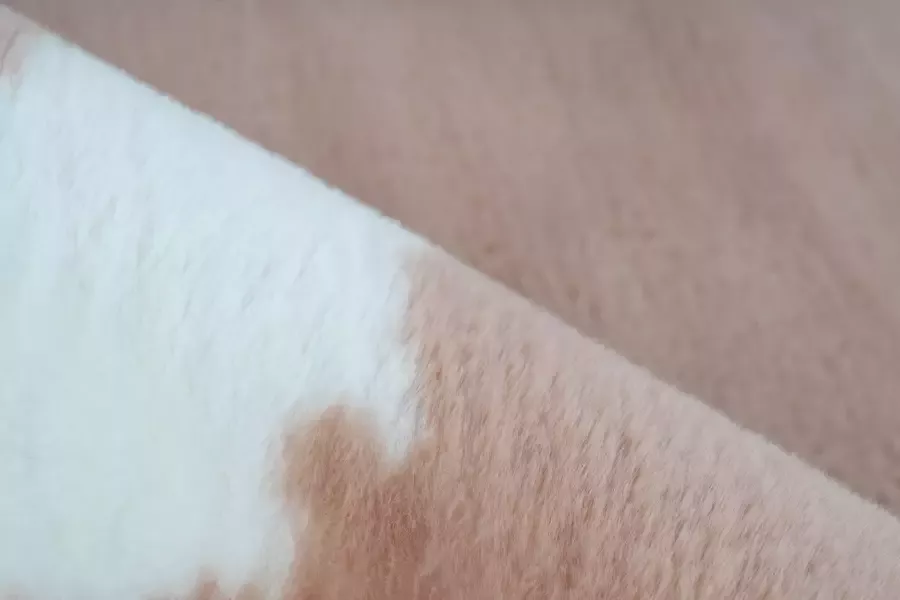 ARTE ESPINA Vloerkleed Rabbit Animal 500 Knusse hoogpolige tapijt handgetuft met katoen achterkant - Foto 2
