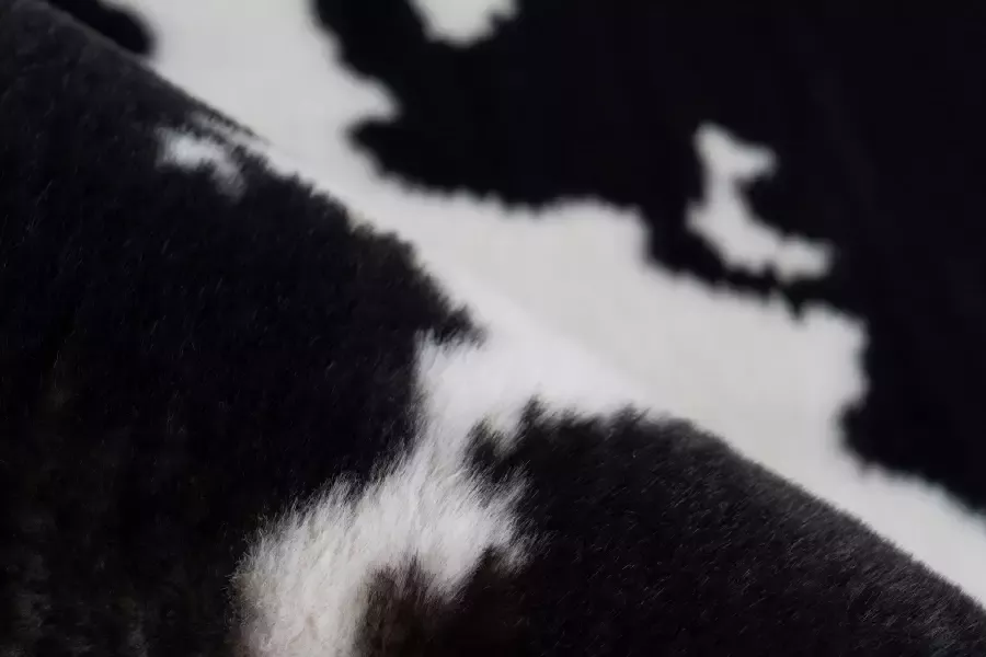 ARTE ESPINA Vloerkleed Rabbit Animal 500 Knusse hoogpolige tapijt handgetuft met katoen achterkant - Foto 4