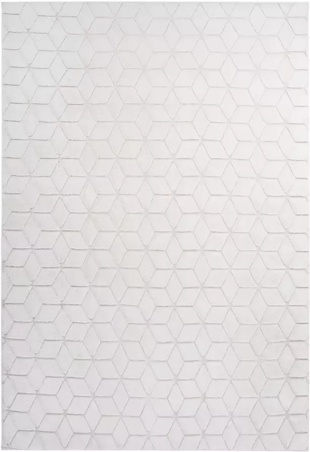 Calo-deluxe Vloerkleed Jardan-1000 bijzonder zacht door microvezel woonkamer - Foto 2