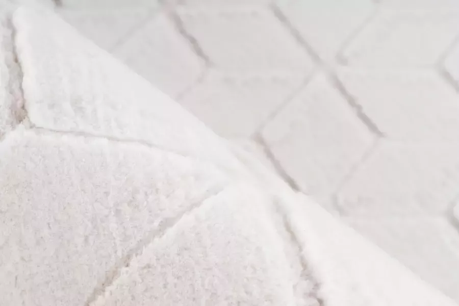 Calo-deluxe Vloerkleed Jardan-1000 bijzonder zacht door microvezel woonkamer - Foto 4